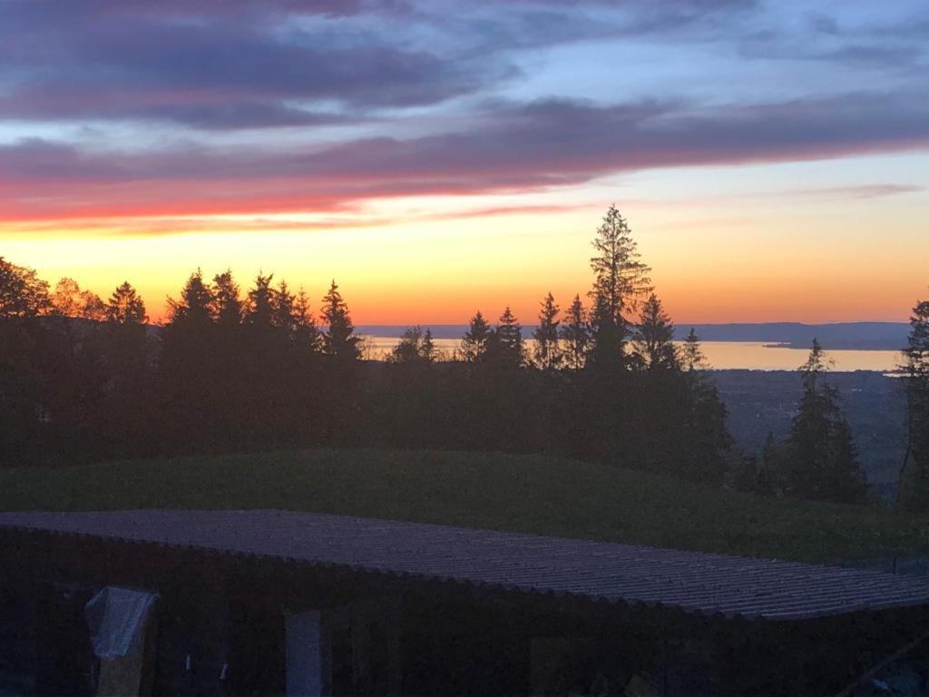 Appartamento Kreiers Alp Hohenems Esterno foto