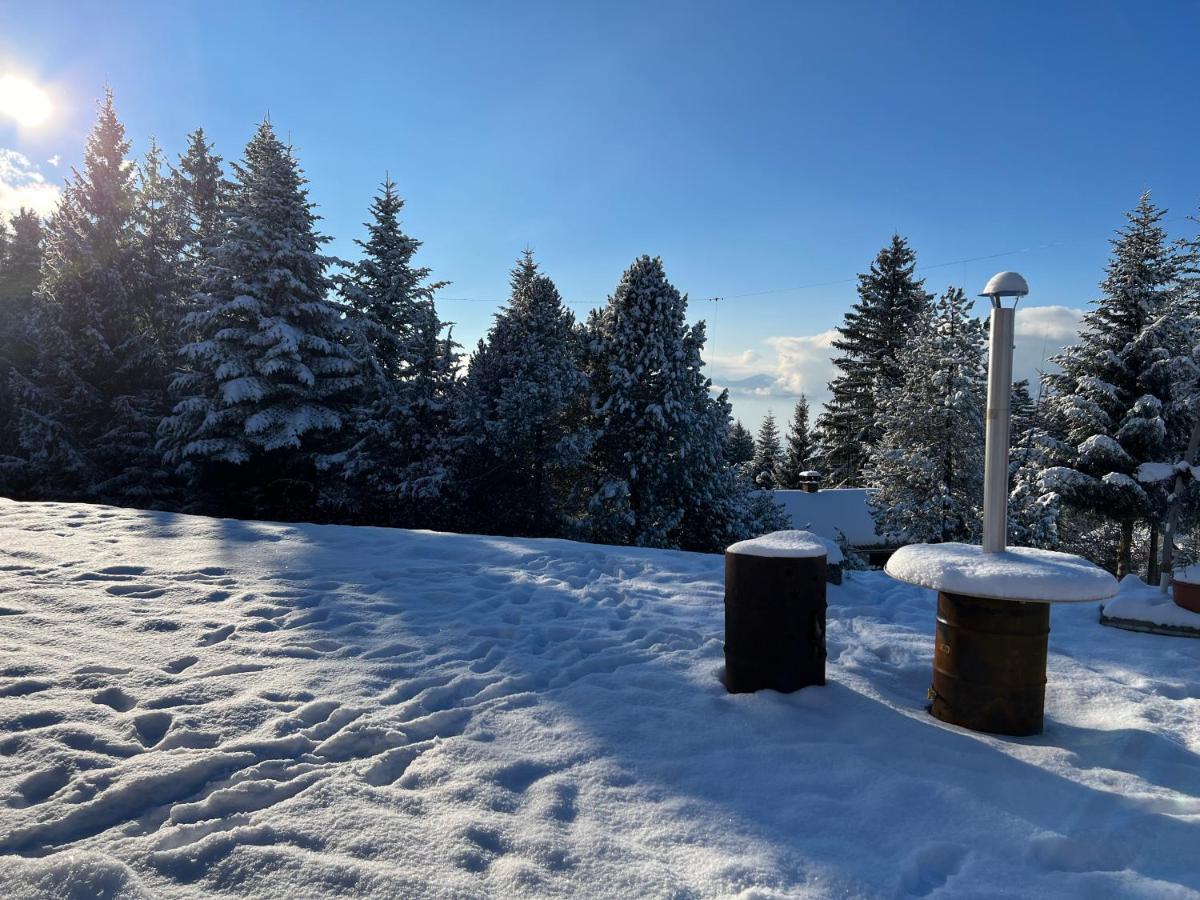 Appartamento Kreiers Alp Hohenems Esterno foto