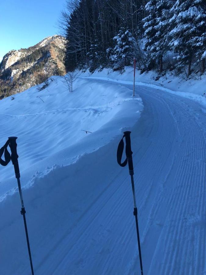 Appartamento Kreiers Alp Hohenems Esterno foto